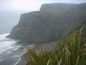 Image of karekaresept2003northendkarekarebeach.jpg