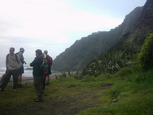 Image of karekaresept2003overlookingkarekarebeach.jpg