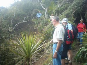 Image of karekaresept2003trackabovecoast.jpg