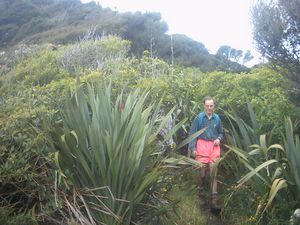 Image of karekaresept2003trackabovecoast3.jpg