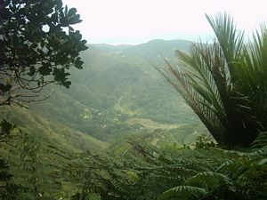 Image of karekaresept2003valley.jpg