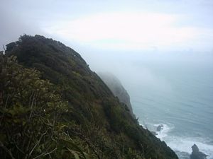 Image of karekaresept2003westcoastmist.jpg