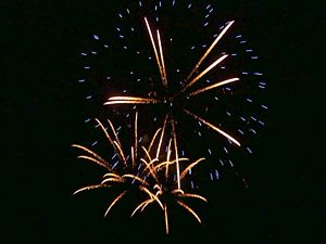 Image of karioi05balloonsfireworks.jpg