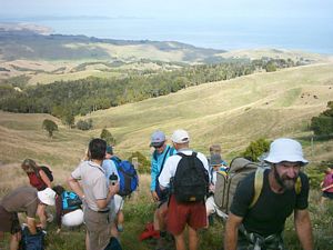 Image of karioi05breakbeforebush.jpg