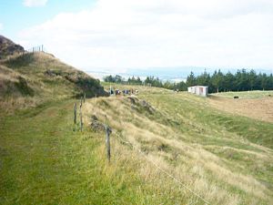 Image of karioi05farmtrack2.jpg