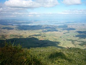 Image of karioi05viewkawhia.jpg