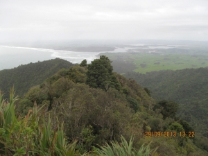 Image of karioi13b.jpg