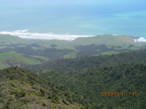 Image of karioi13c.jpg