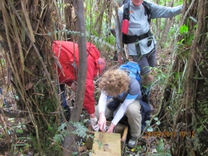 Image of karioi13e.jpg