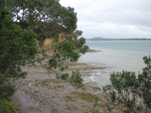 Image of kauripointmay18a.jpg