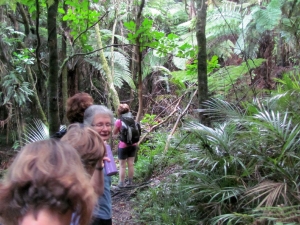 Image of kawhia13e.jpg