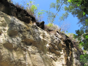 Image of kawhia13m.jpg