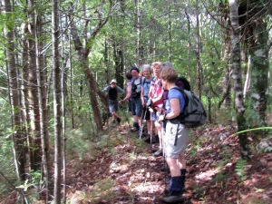 Image of kawhia13n.jpg