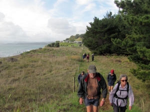 Image of kawhia13r.jpg