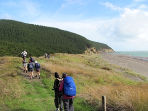 Image of kawhia13t.jpg