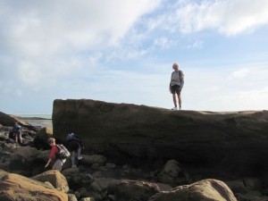 Image of kawhia13v.jpg