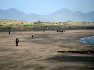 Image of kawhia13x.jpg