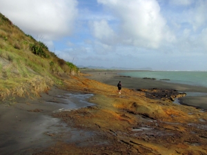 Image of kawhia13y.jpg