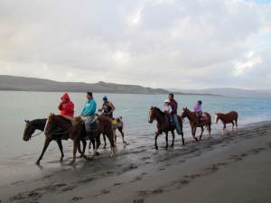 Image of kawhia13zc.jpg