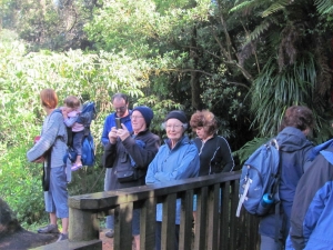 Image of kawhia13zl.jpg