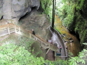 Image of kawhia13zq.jpg