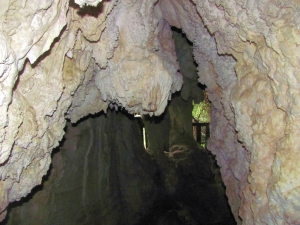 Image of kawhia13zx.jpg