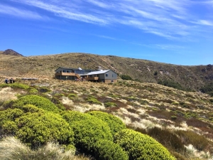 Image of keplerjan18w.jpg