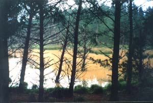 Image of keretabrownlakeq.jpg