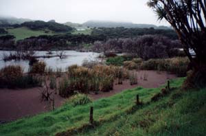 Image of keretalakepinkq.jpg