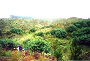 Image of keretalunchviewq.jpg