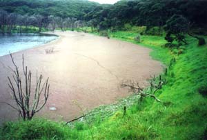 Image of keretaredbeachq.jpg