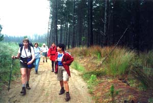 Image of keretawalkq.jpg