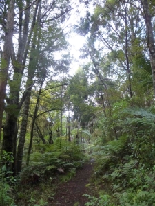 Image of kerrtaylor15c.jpg