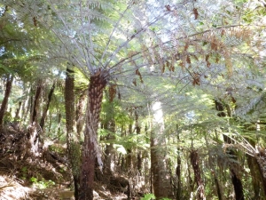 Image of kerrtaylor15d.jpg