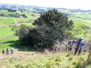 Image of kimpton09cagrunt.jpg