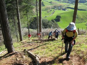 Image of kimpton09dcgrunt.jpg