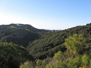 Image of kimpton09heviewkimpton.jpg