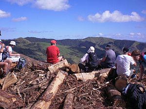 Image of komata12b.jpg