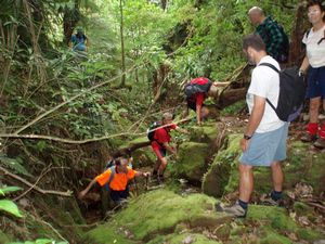 Image of komata3.jpg