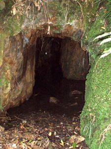 Image of komata4.jpg