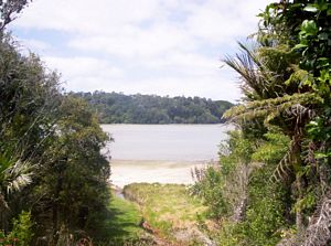 Image of laingholm06cwarnerparkbeach.jpg