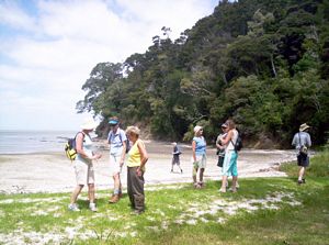 Image of laingholm06ewarnerparkbeach.jpg