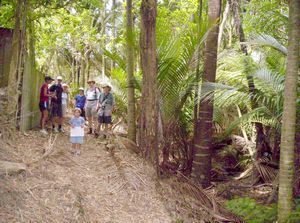 Image of laingholm06hwarnerpark.jpg