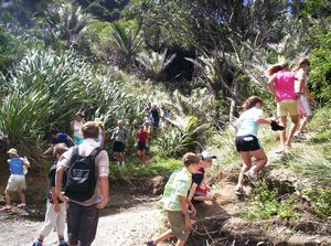 Image of laingholm06mbokelbay.jpg