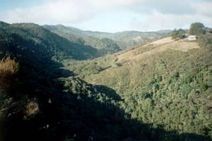 Image of latrobe02lookoutvalley.jpg