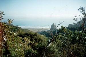 Image of latrobe02viewbeach.jpg