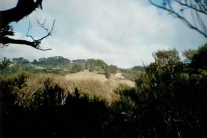 Image of latrobe02viewfarms.jpg