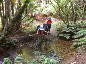 Image of leitchesmar17a.jpg