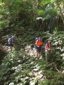 Image of leitchesmar17e.jpg