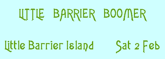 Image of littlebarrierboomer.jpg